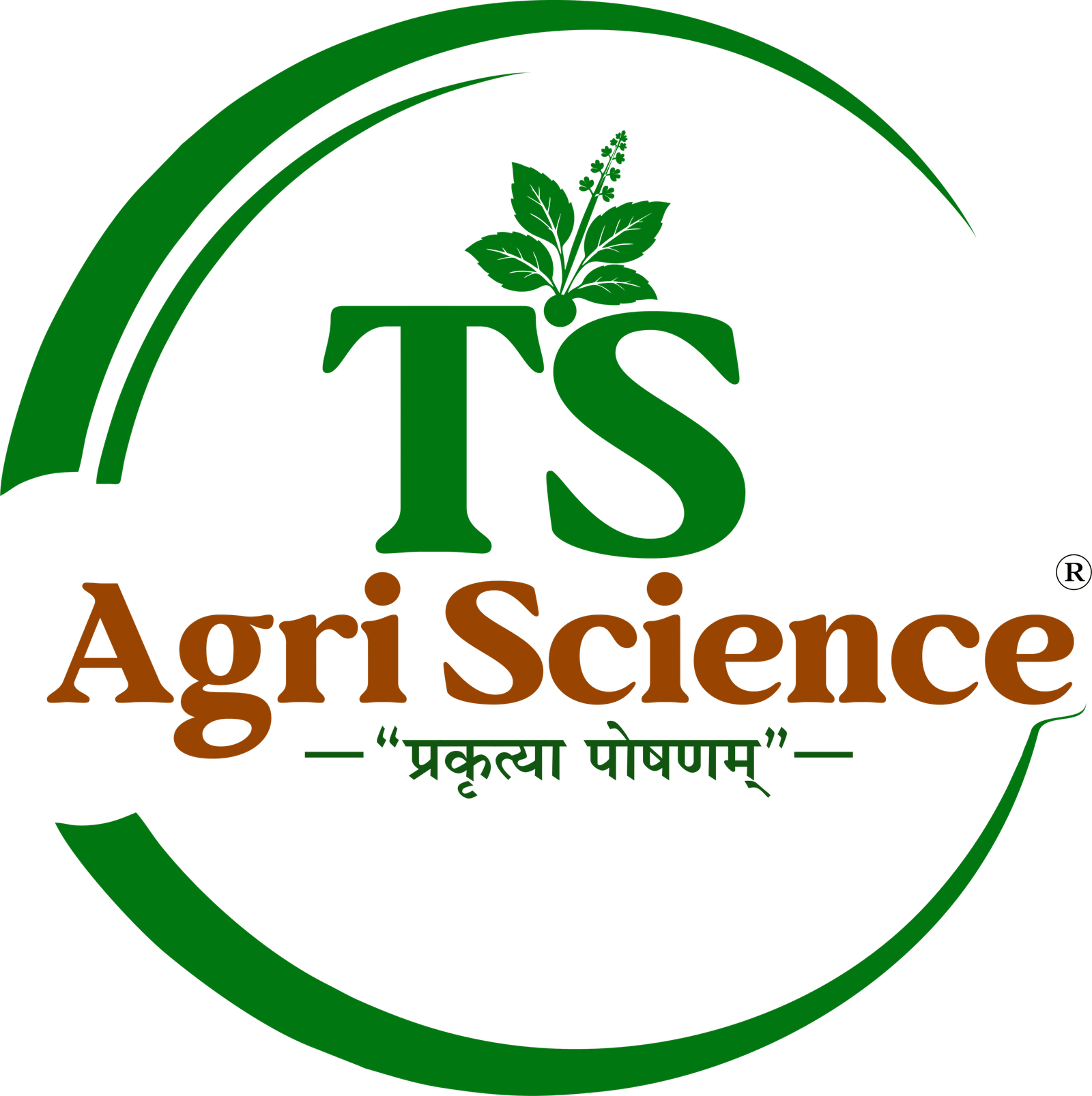 TS LOGO PNG